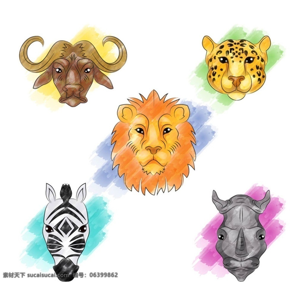 彩绘 动物 头像 矢量 动物头像 彩绘动物 水牛 斑马 狮子 犀牛 豹子 动物矢量素材