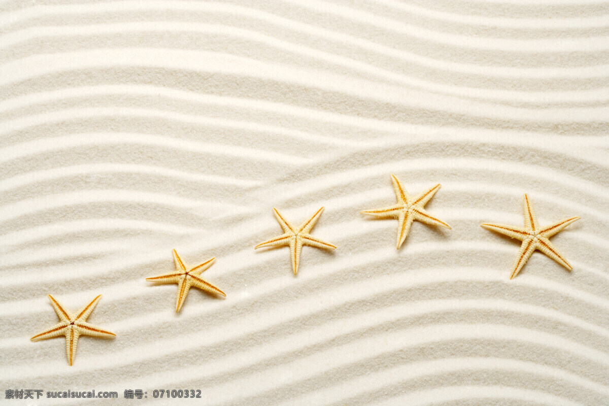 海星 沙滩 海星标本 海星饰品 海星纹理 细沙 沙滩背景 海边沙滩 沙滩风景 迷人景色 电脑壁纸 海洋生物 生物世界
