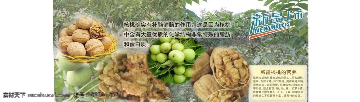 核桃 滚动 宣传 大 海报 高清 滑动 促销 sy 淘宝促销海报 淘宝素材