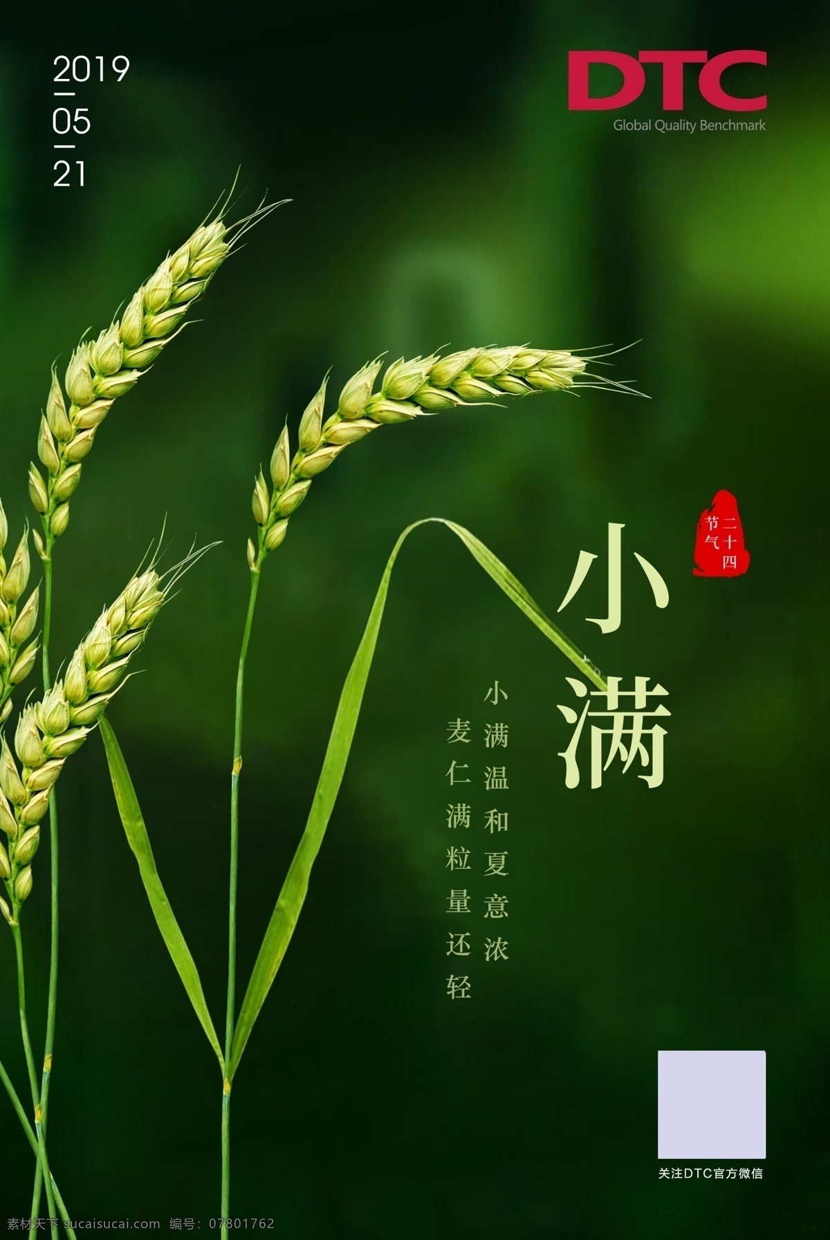 小满 节日节气 传统节气 绿色 小麦 麦子 海报 背景画设计