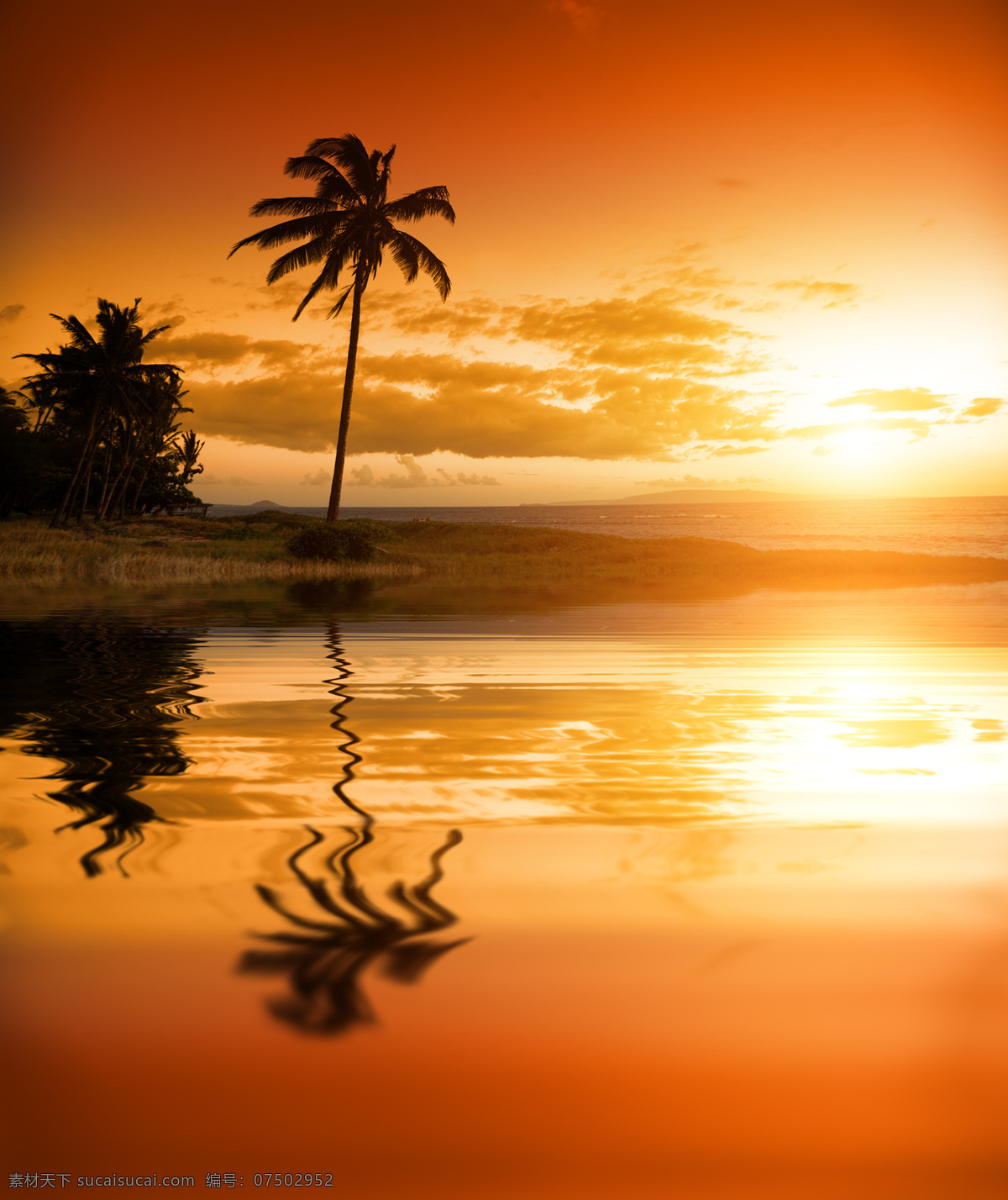 大海 海里 椰树 倒影 天空 阳光 夕阳 落日 大海图片 风景图片