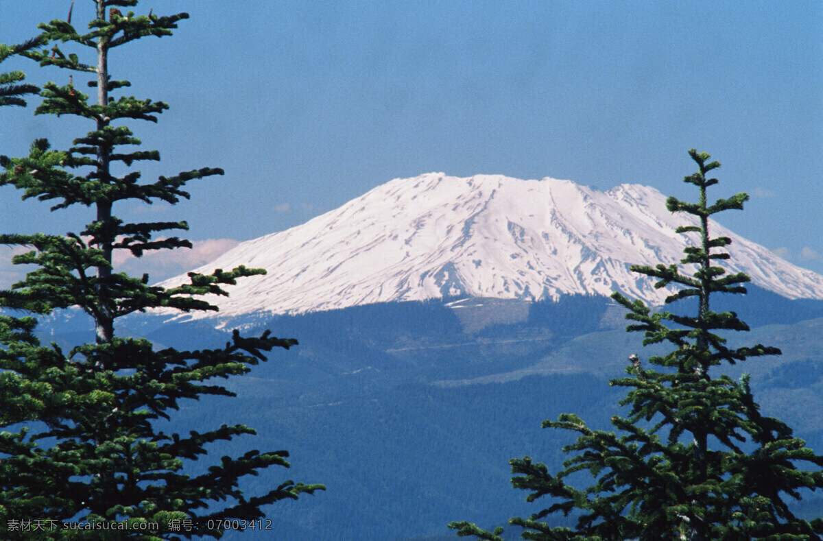 雪山免费下载 风景素材 松树 雪山 自然风景 风景 生活 旅游餐饮