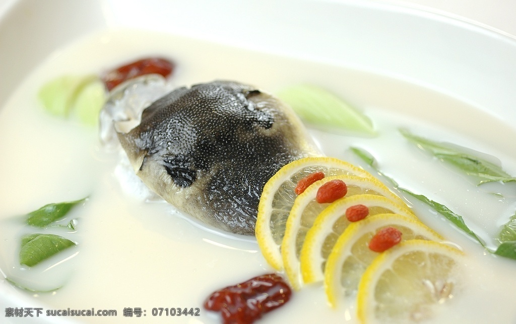 金汤 滋补 养身 豚 河豚 滋补河豚 汤菜 扬州菜 炖河豚 餐饮美食 传统美食