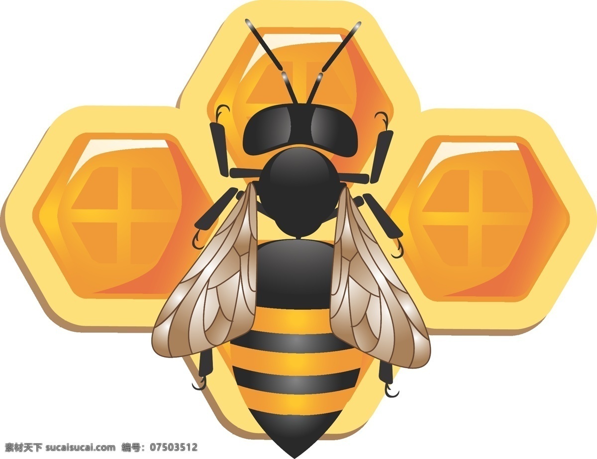 可爱 三维 蜜蜂 蜂窝 矢量 材料 动物 蜂巢 罐子 卡通 可爱的 动物世界里 亲爱的 黄色的 三维的 向量 矢量图 矢量人物