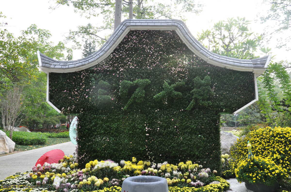 最美西湖 三坊七巷 西湖 菊花 公园 生态 绿色 国内旅游 旅游摄影