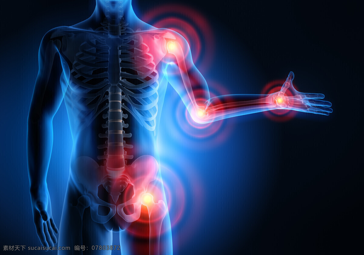 人体骨胳透视 医学 人体 骨胳 关节 透视 科技 生物 人类 手足关节 男性 人物图库