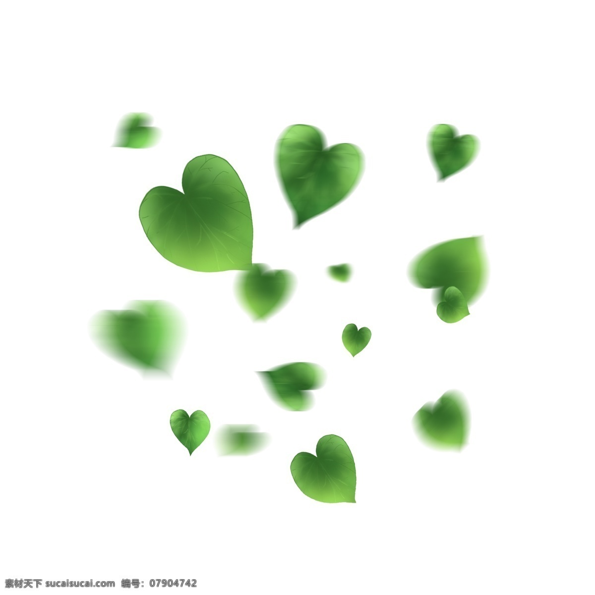 漂浮 树叶 绿色 爱 心形 爱心树叶 爱心 落叶 漂浮的树叶 爱心落叶