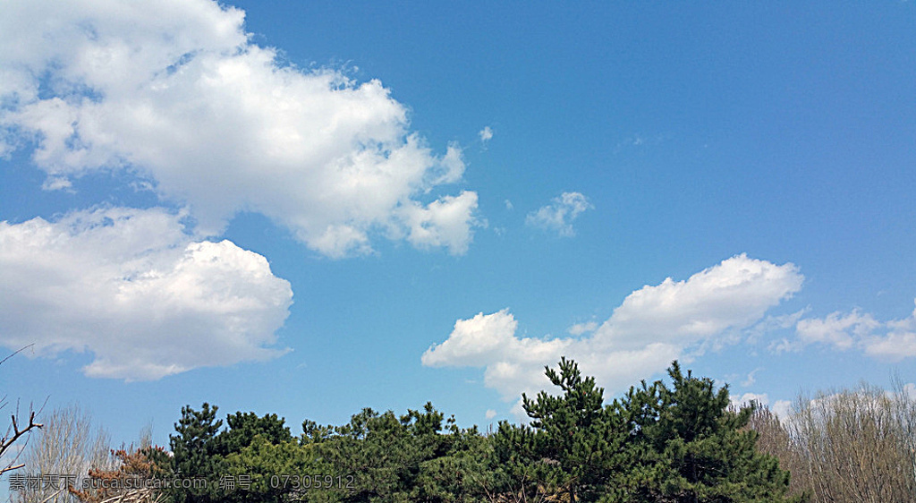 唯美 蓝天 白云 风景 高清 天空 云朵 树木