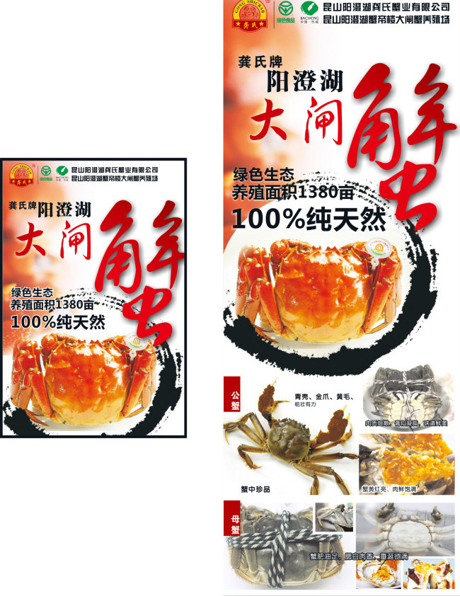 阳澄湖 大闸蟹 海报 展架 x展架 蟹 螃蟹 蟹黄 生蟹 白色