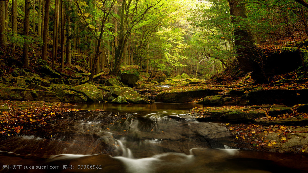秋瀑 九寨沟 诺日朗瀑布 湖泊 九寨沟景区 国家级景区 自然保护区 高原风光 文化自然 风光秀丽 蓝天白云 摄影风光 旅游摄影 国内旅游 岷山 原始森林 风景名胜区 5a级景区 高山湖泊 天池 瀑布 美艳绝伦 珍珠滩瀑布 珍珠滩 金铃海 天鹅海 黑海 蓝天 白云 远山 绿树 森林 自然景色 自然景观 自然风景