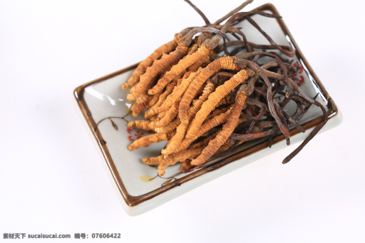 冬虫夏草 虫草 虫草花 冬虫 夏草 餐饮美食 食物原料