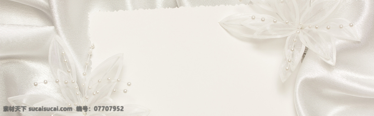 梦幻 白色 蝴蝶结 背景 banner 白色蝴蝶结 花朵 清新