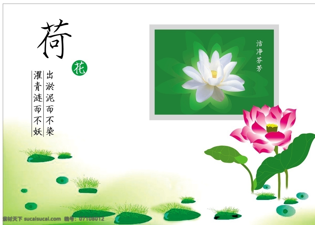 荷花 微利设计 学校展板 展板展架模板 荷花4 psd源文件
