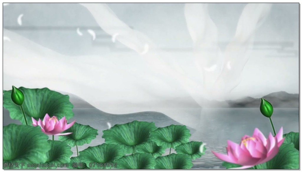 竹露荷风 背景 荷花 荷叶 水墨画 视频素材 动态视频素材