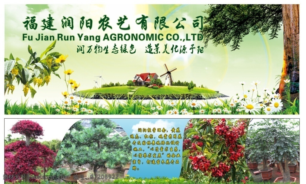 绿色苗木 苗木 花卉 绿色 黄花远志 红琼 药用花卉 生态 农场