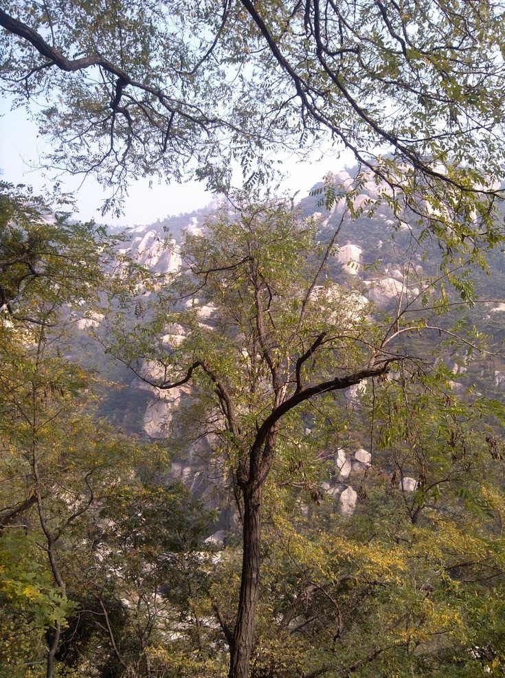 崂山 岩石 蓝天 远山 山影 树木 森林 林木 树影 风景名胜 自然景观