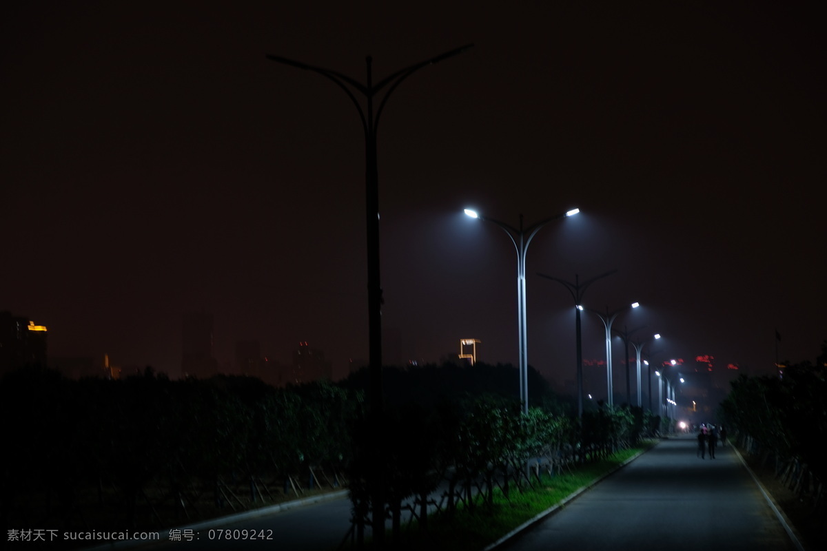 夜晚的路灯 夜晚 路灯 校园 浪漫 安静 思考 树 灯光 朦胧