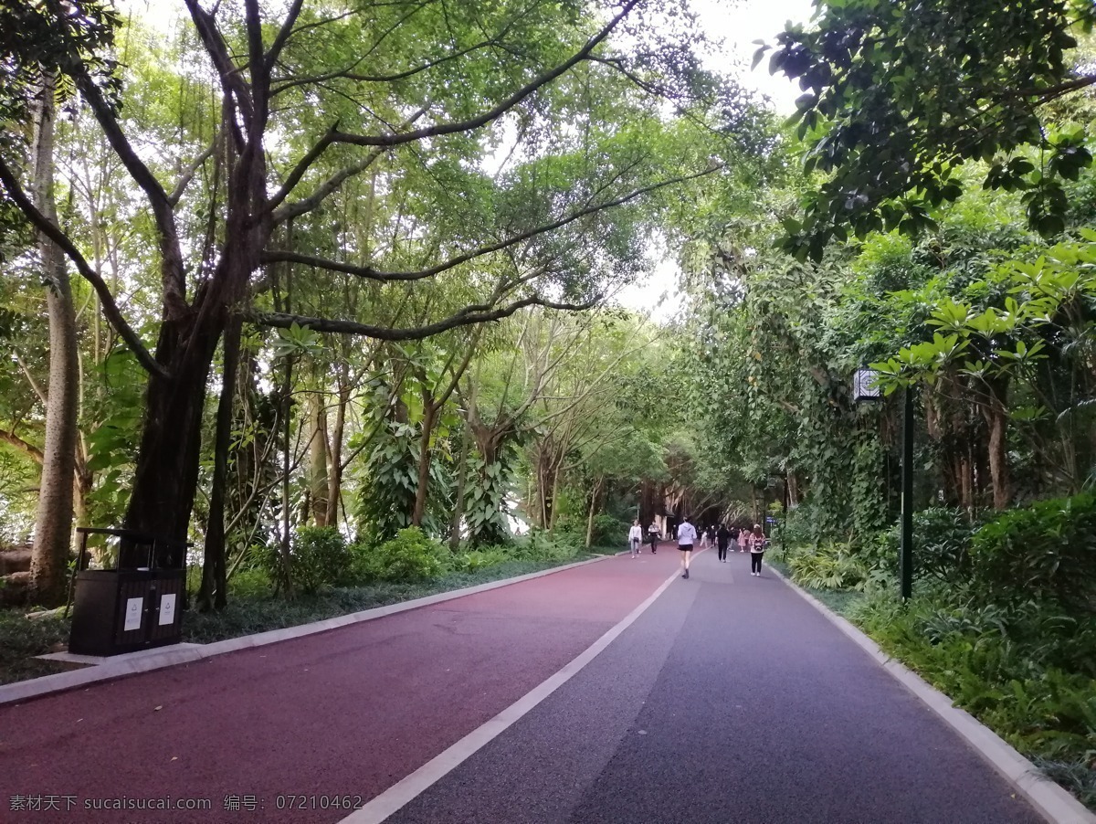 风景 树 马路 人 照片图片 照片 自然景观 自然风景