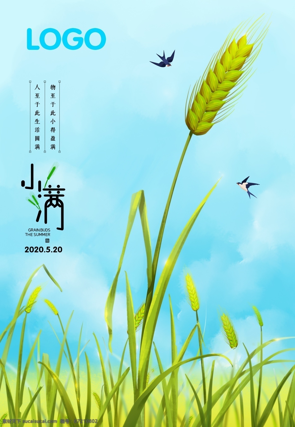 小满海报 小满 小满节气海报 小满节气图 小满节气 小满挂画 小满画册 小满灯箱 小满杂志 小满折页 小满灯片 小满微信图 小满刷屏图 小麦 麦子 麦田 二十四节气 节气图 传统节气 小满主题 节日节气 小满广告 蓝色天空 蓝天 蓝天麦田