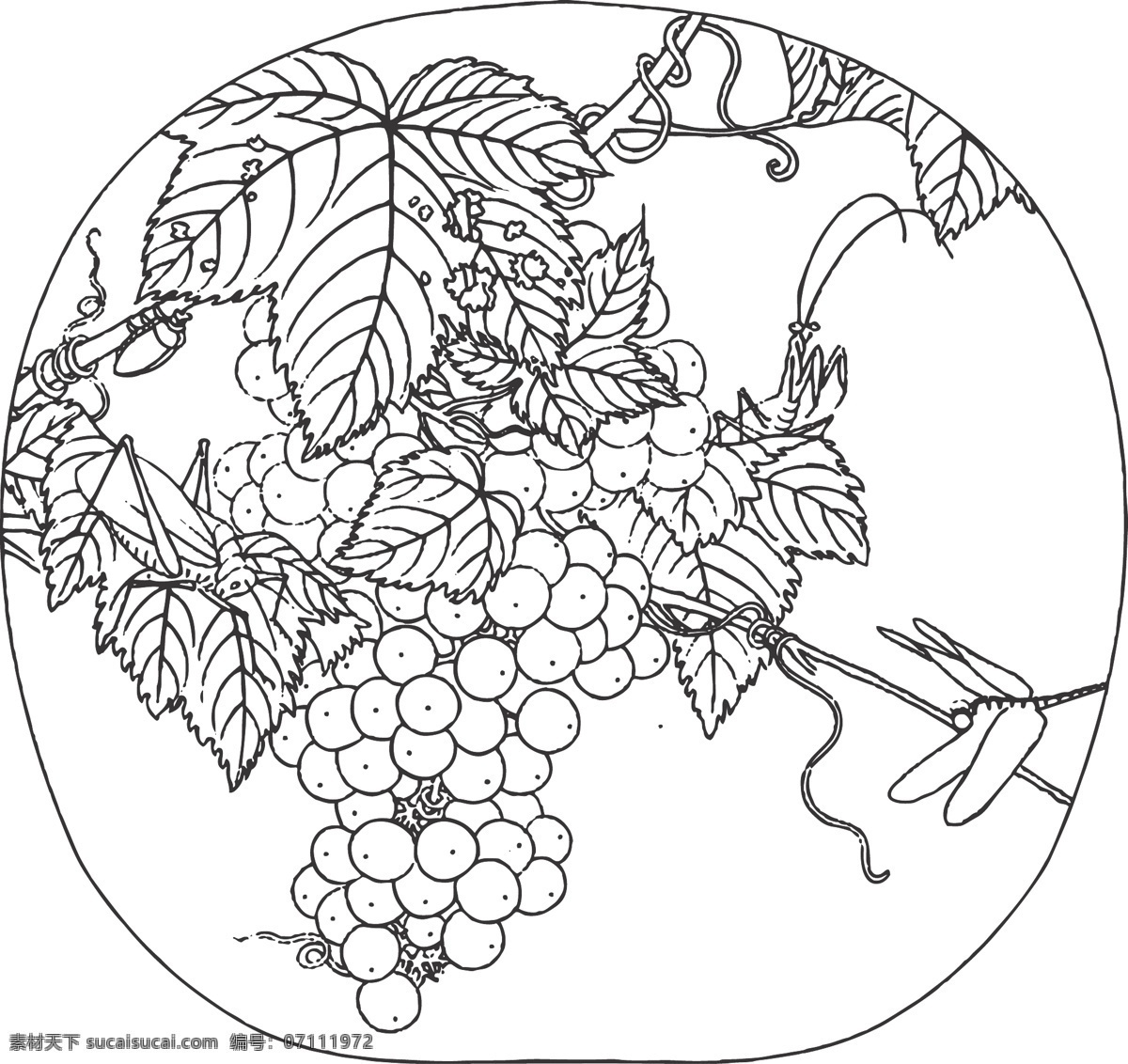 葡萄草虫图 葡萄草虫 葡萄 草虫 水果 昆虫 线条 矢量 装饰 插画 白描 生物世界