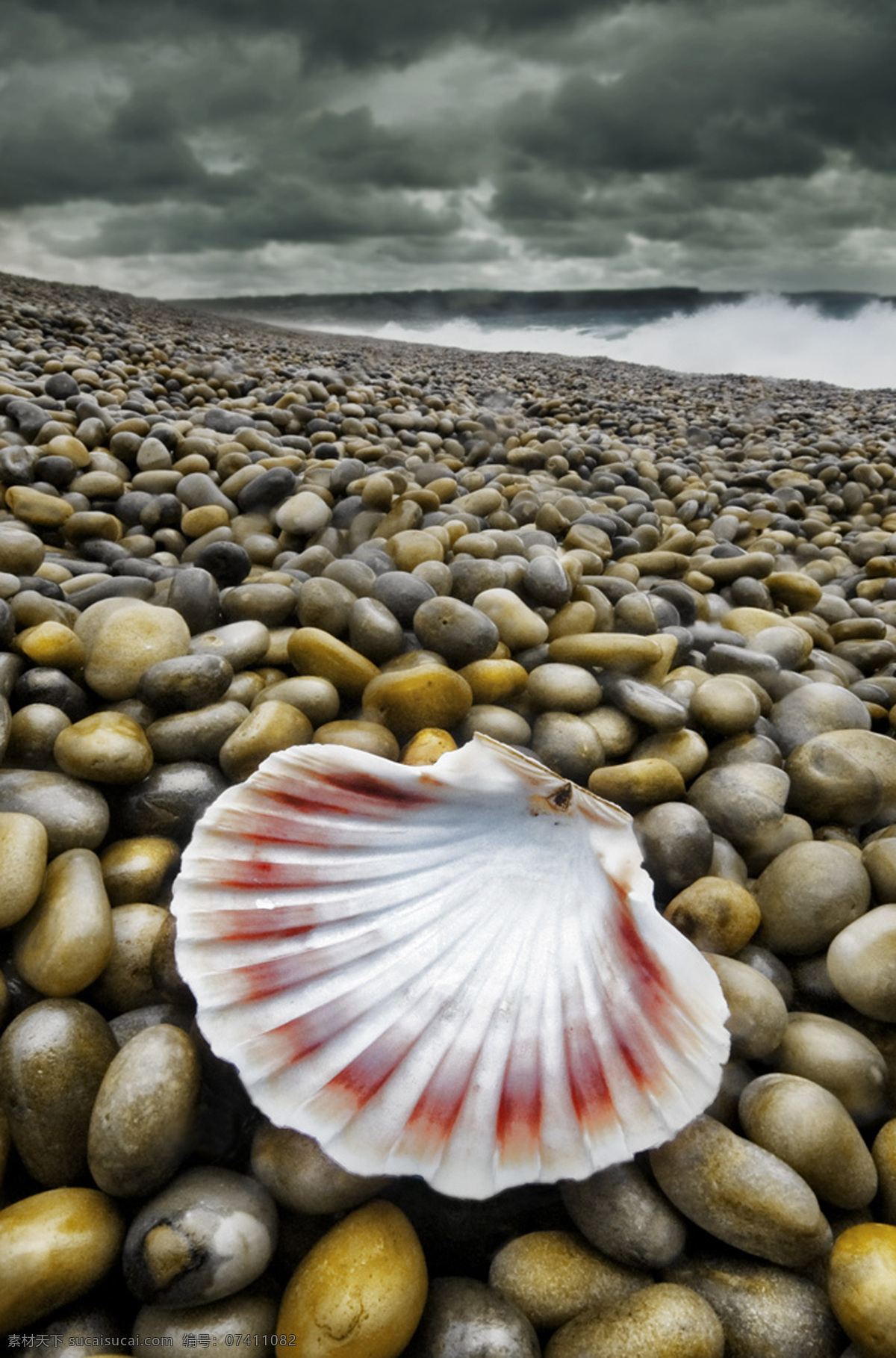 海边卵石贝壳 海边 卵石 贝壳 云 浪漫 法国 风情 特写 自然景观 自然风景 摄影图库