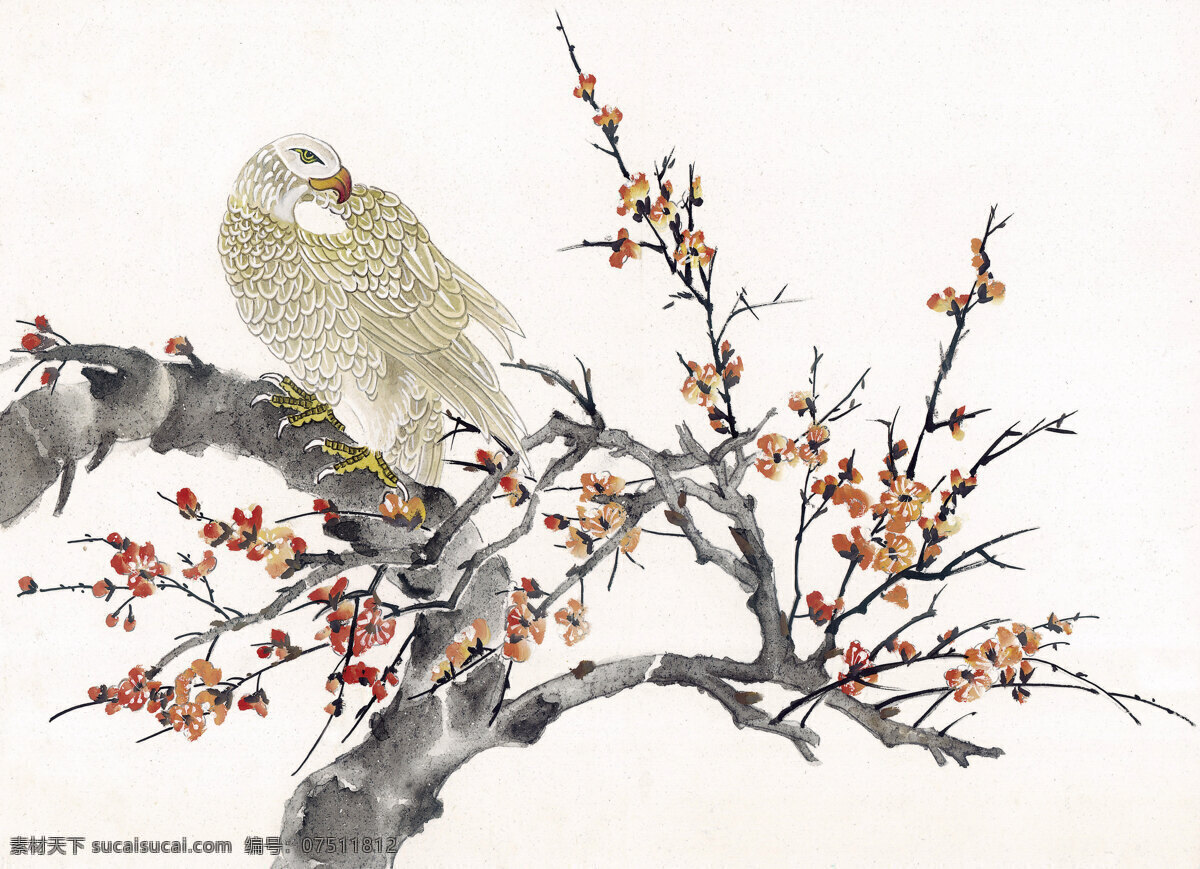 鹰 工笔花鸟 国画0225 国画 设计素材 花鸟画篇 中国画篇 书画美术 白色