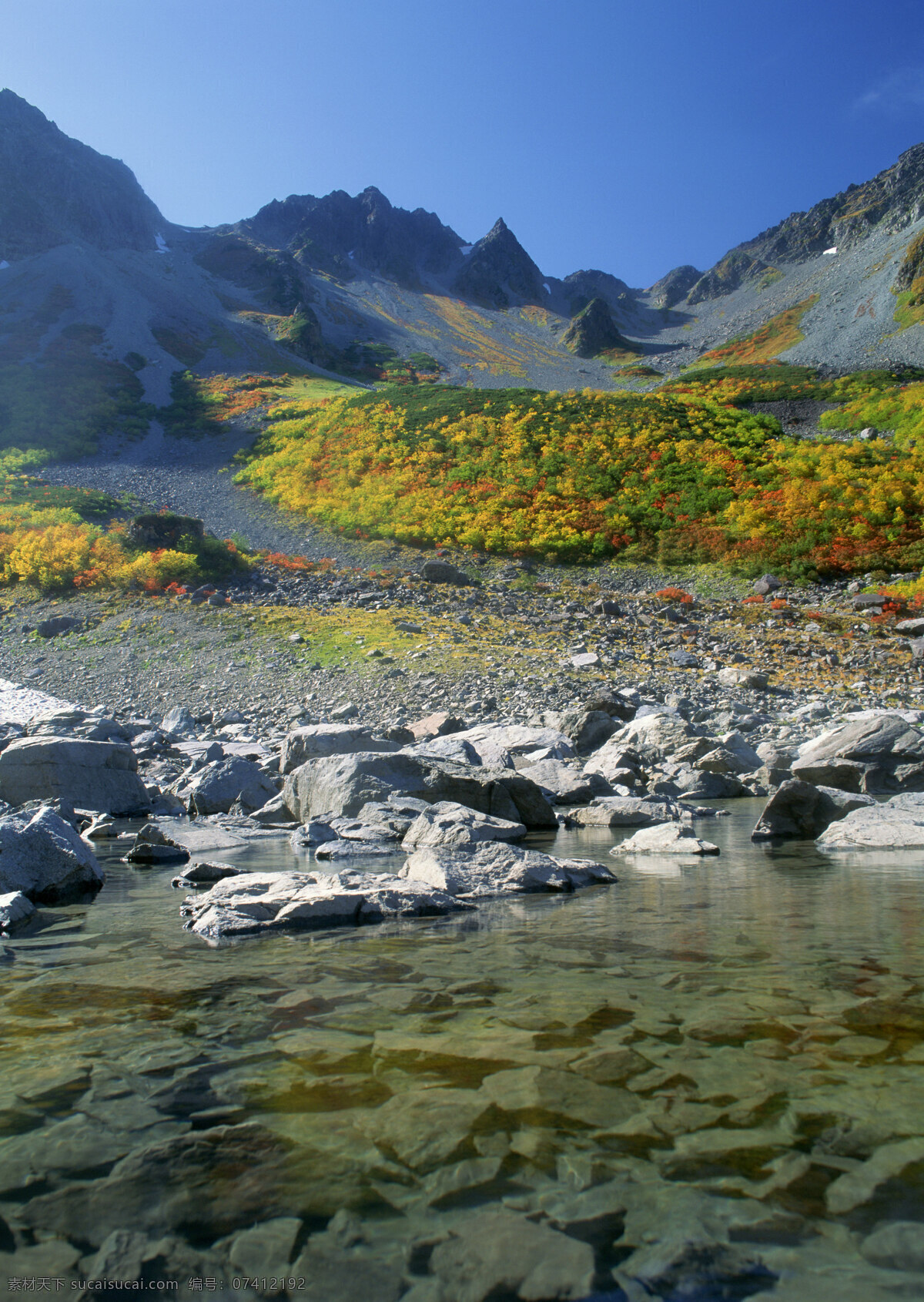 清澈 湖水 美丽风景 风光 景色 湖泊 野花 石头 自然景象 自然景观 山水风景 四季风景 风景图片