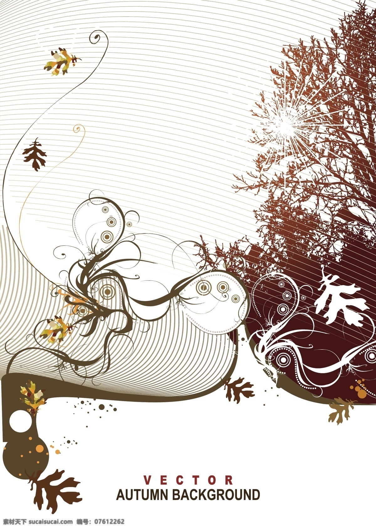 时尚 实用 花纹 底纹背景 底纹边框 花边 欧美花纹元素 时尚实用花纹 纹理 装饰花纹 家居装饰素材