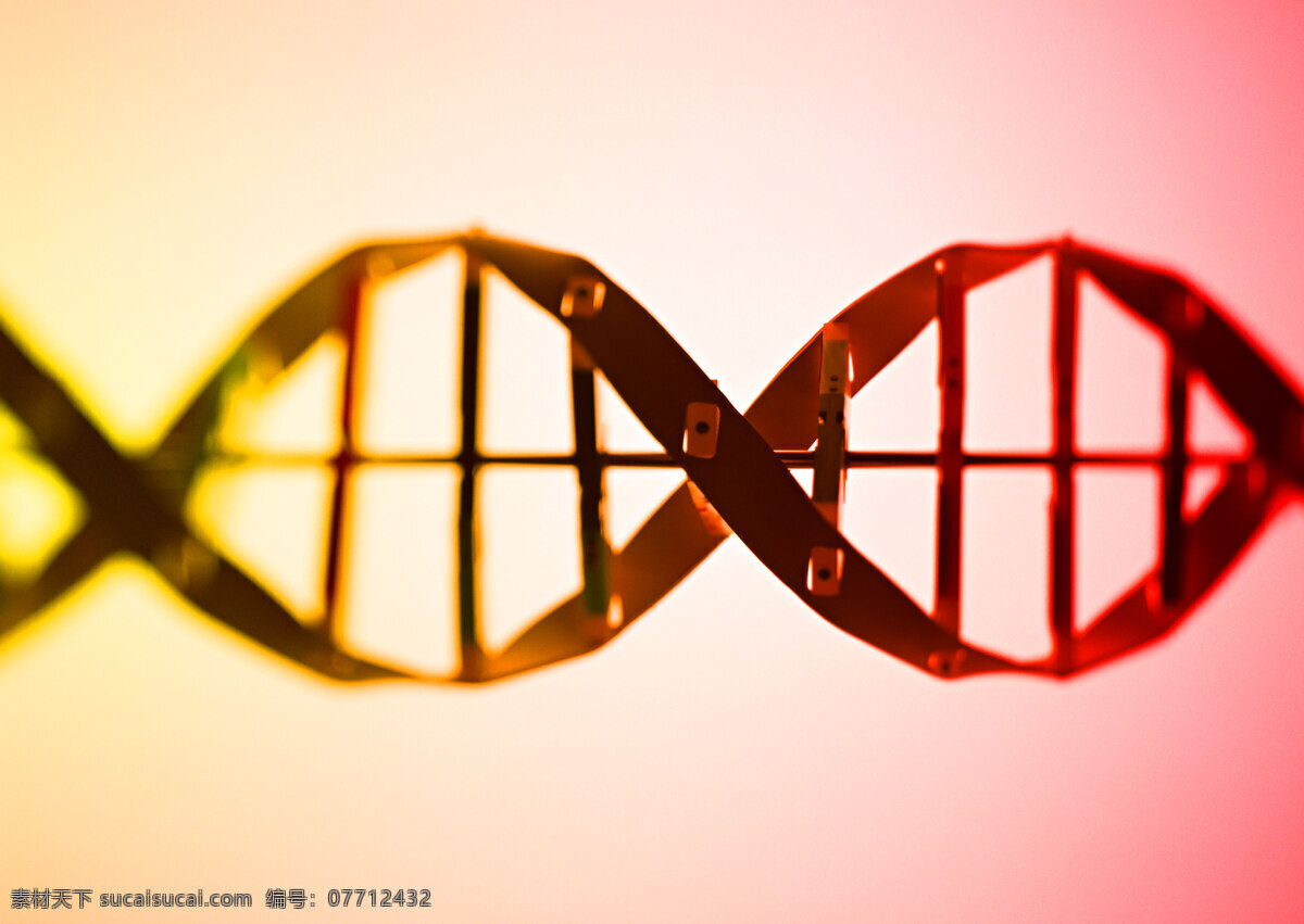 dna 基因 手工 医学 生物学 文化艺术