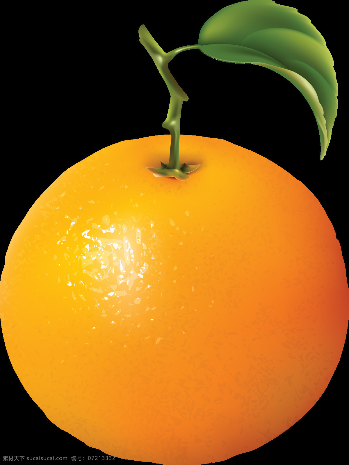 橙子 桔子 橘子 蔬菜 食品 新鲜 美味 美食 素食 蔬菜水果 水果 水果蔬菜 生物世界 设计素材 水果素材 生活用品 生活百科