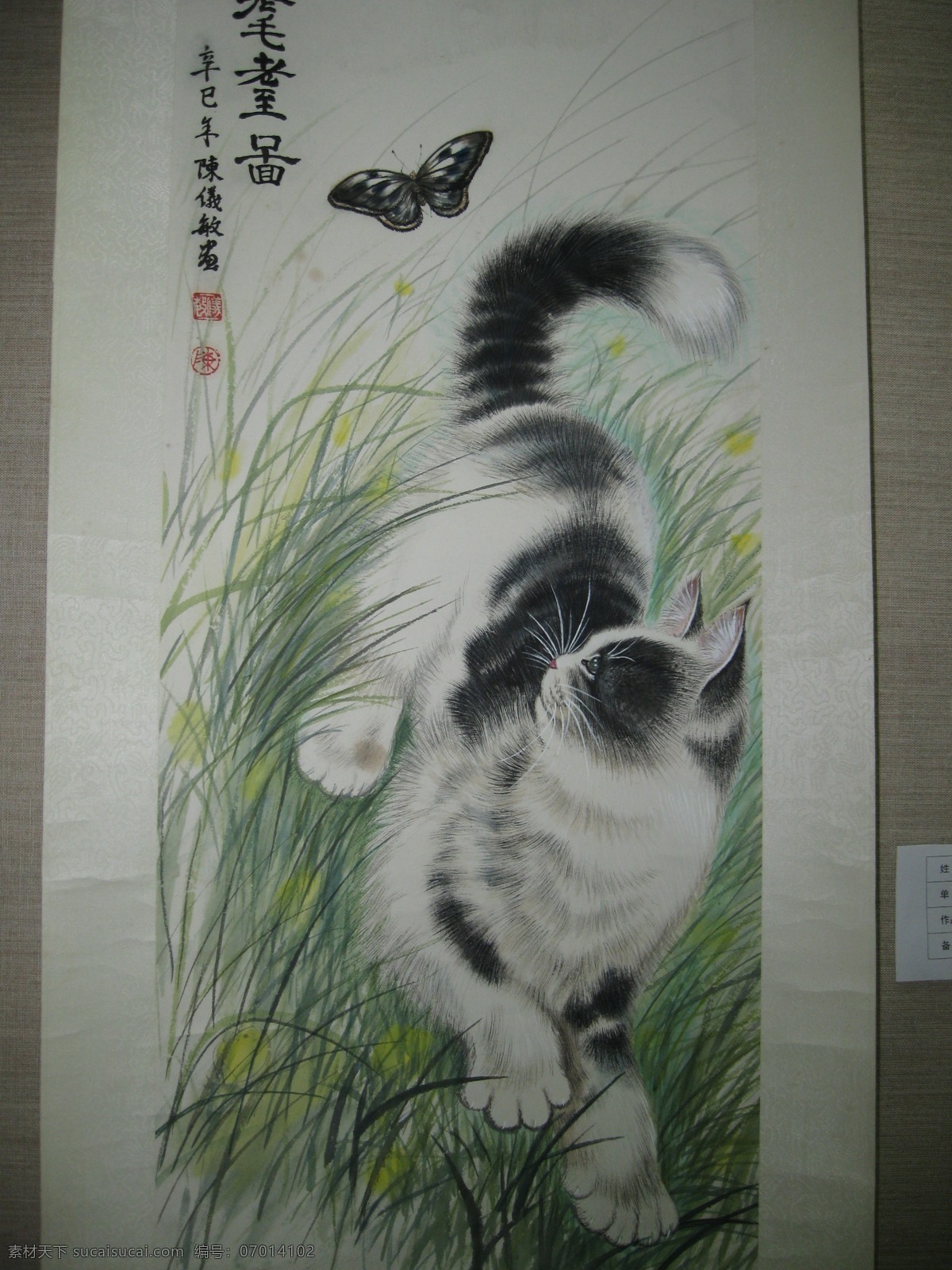 书画展 国画 蝴蝶 猫 美术绘画 书画 文化艺术 展览 装饰素材 展示设计