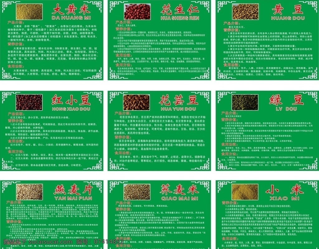五谷 粮食 简介 功效 大黄 米 花生仁 黄豆 绿豆 红小豆 花坛 燕麦片 荞麦 展板模板 矢量