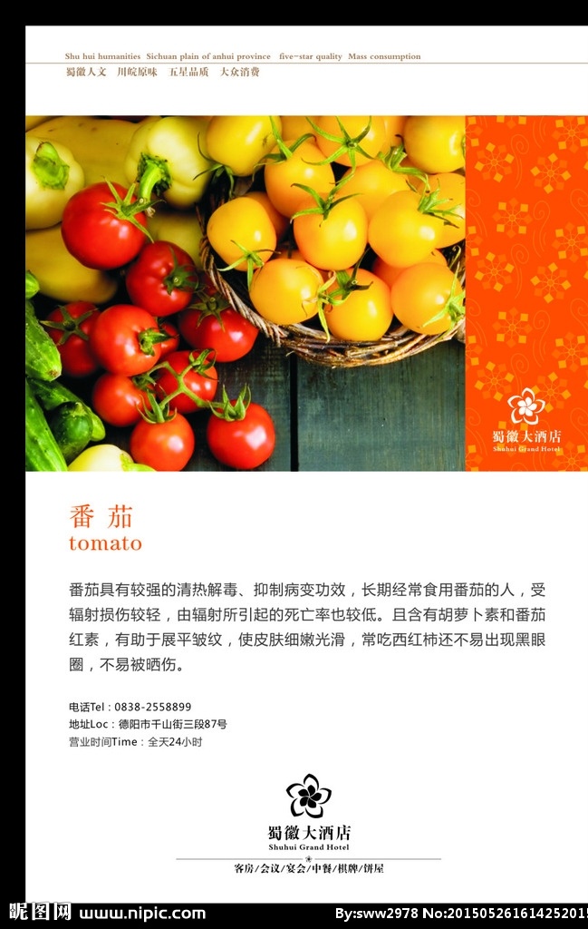 番茄 简介 番茄简介 黄色番茄 红色番茄 酒店广告 菜品简介 橘色底纹