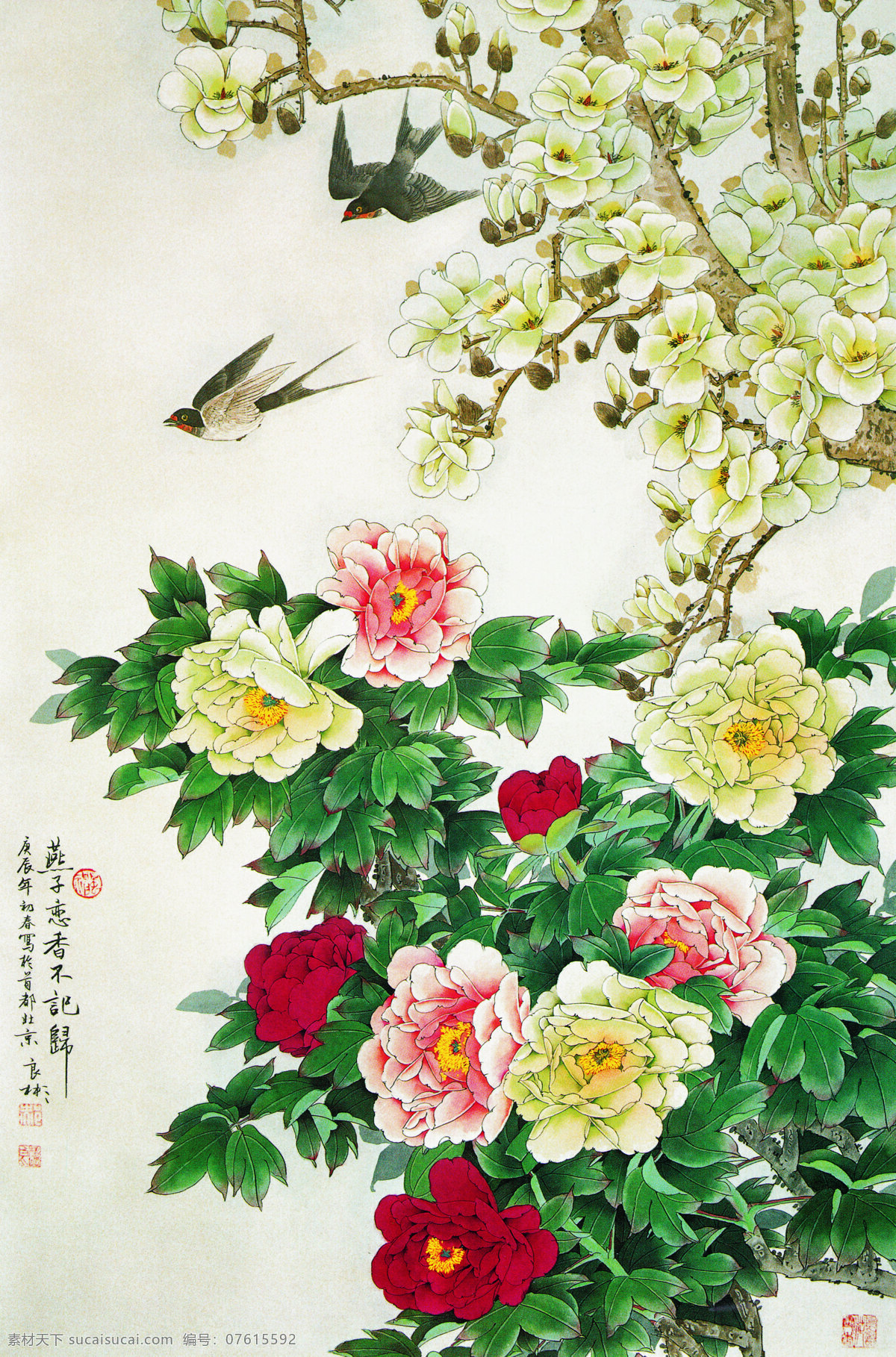 国画 牡丹 花 牡丹花 花草画 画 线描 工笔 水墨 文化艺术 绘画书法