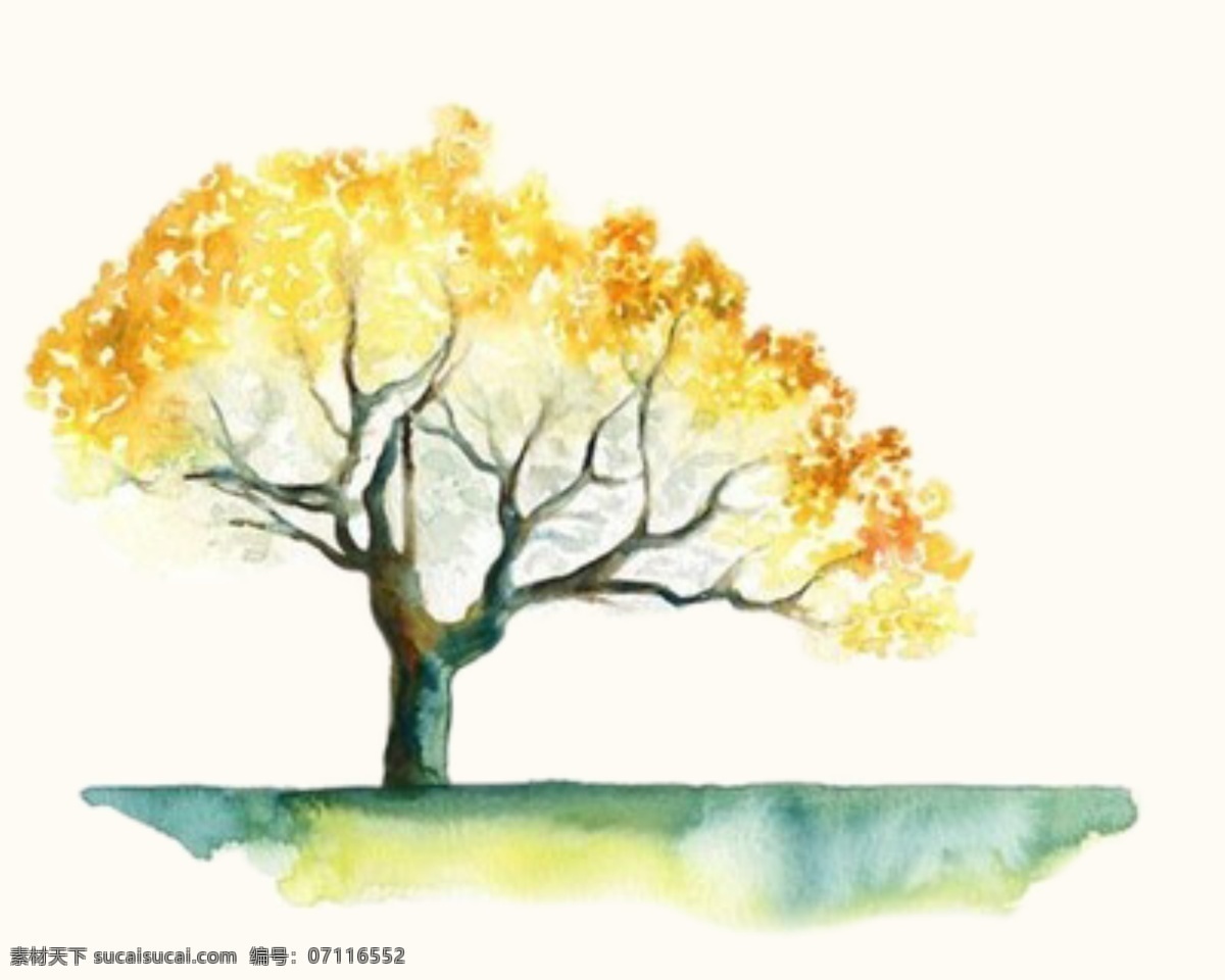 水彩大树 水彩元素 水彩装饰图案 水彩风景树 水彩背景 树木