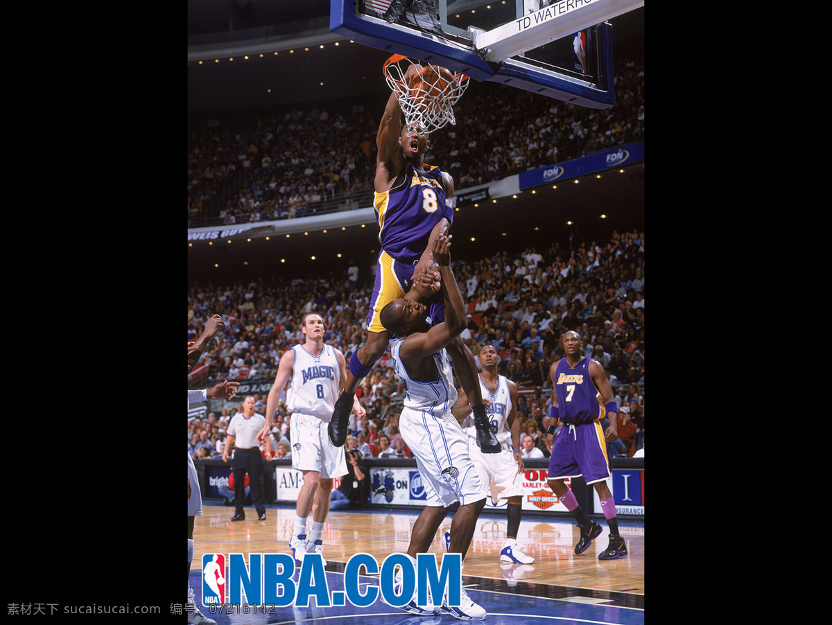 nba 球星 科比 湖人当家球星 扣篮 篮球 体育明星 人物图库 明星偶像 近 十 年 年度 最佳 摄影图片 摄影图库 300
