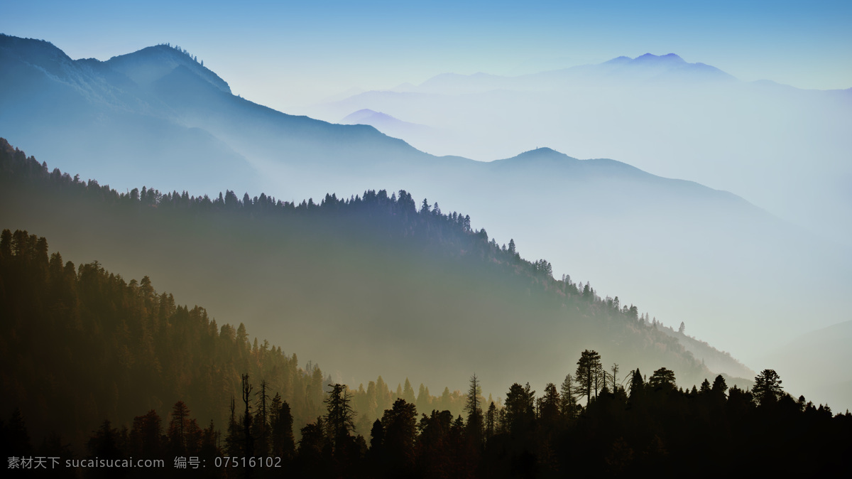 仙境丛林 仙境 晨曦 雾气 山林 层峦叠嶂 自然景观 自然风景