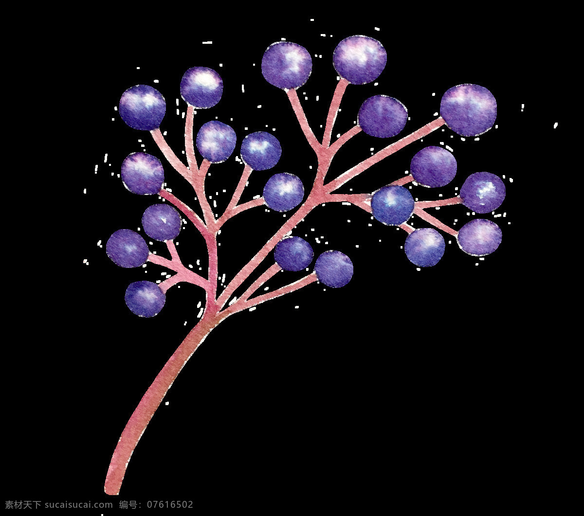 紫色 成熟 果实 卡通 透明 抠图专用 装饰 设计素材