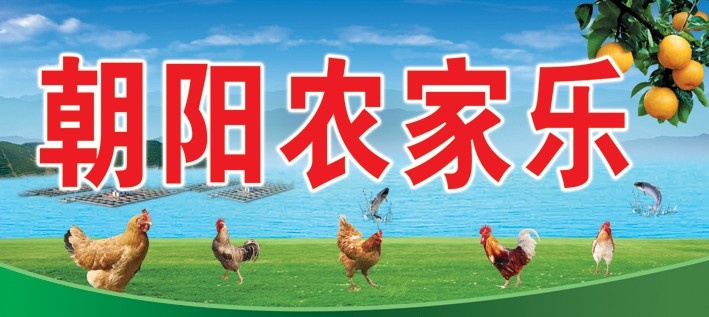 农家乐 农家乐饭店 饭店 招牌 门头 河面 网箱 鱼 桔子 鸡子 草地 天蓝 大海 小岛 钓鱼 棋牌 休闲 展板模板 广告设计模板 源文件