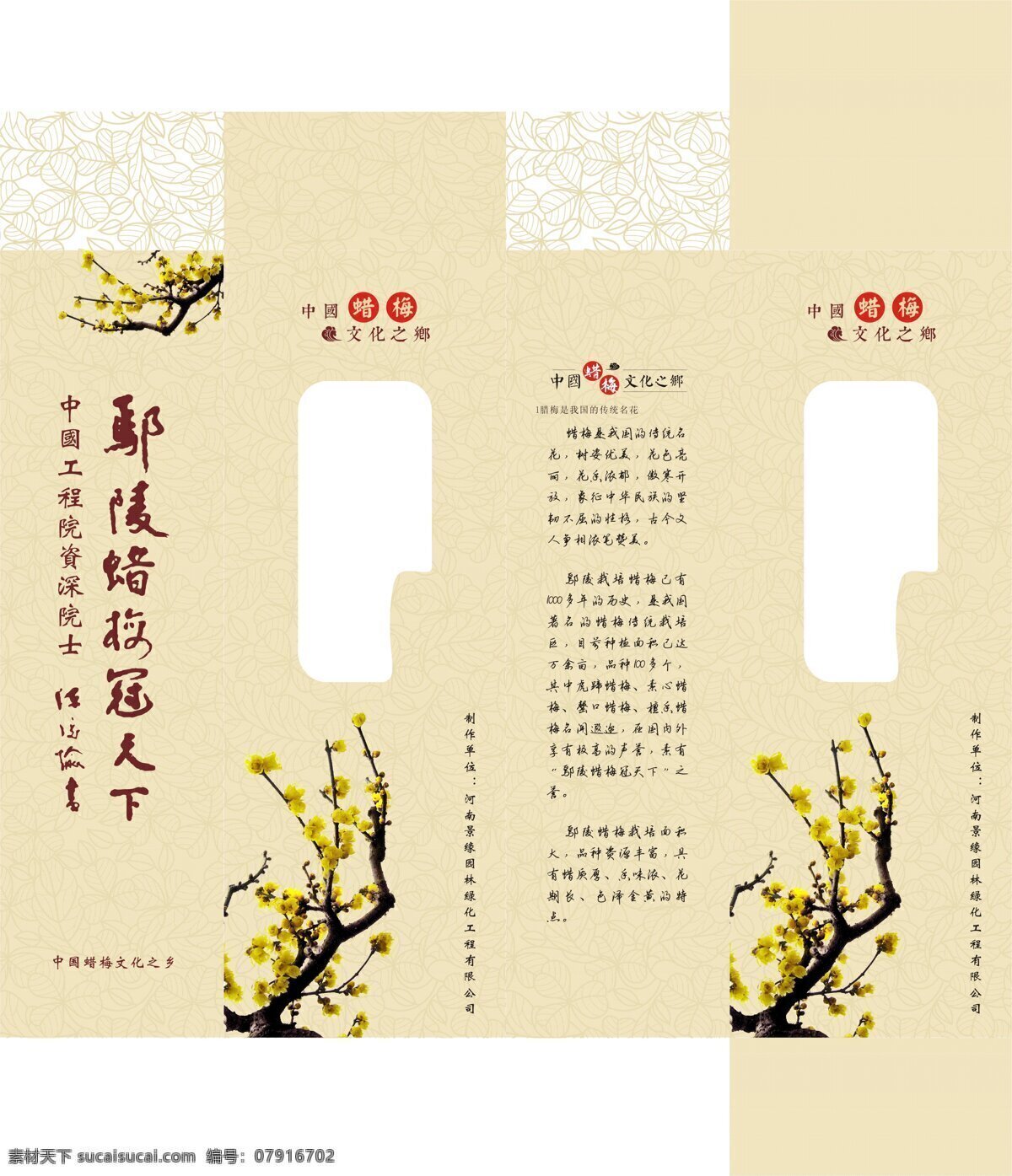 蜡梅包装转曲 蜡梅 包装 转曲 白色