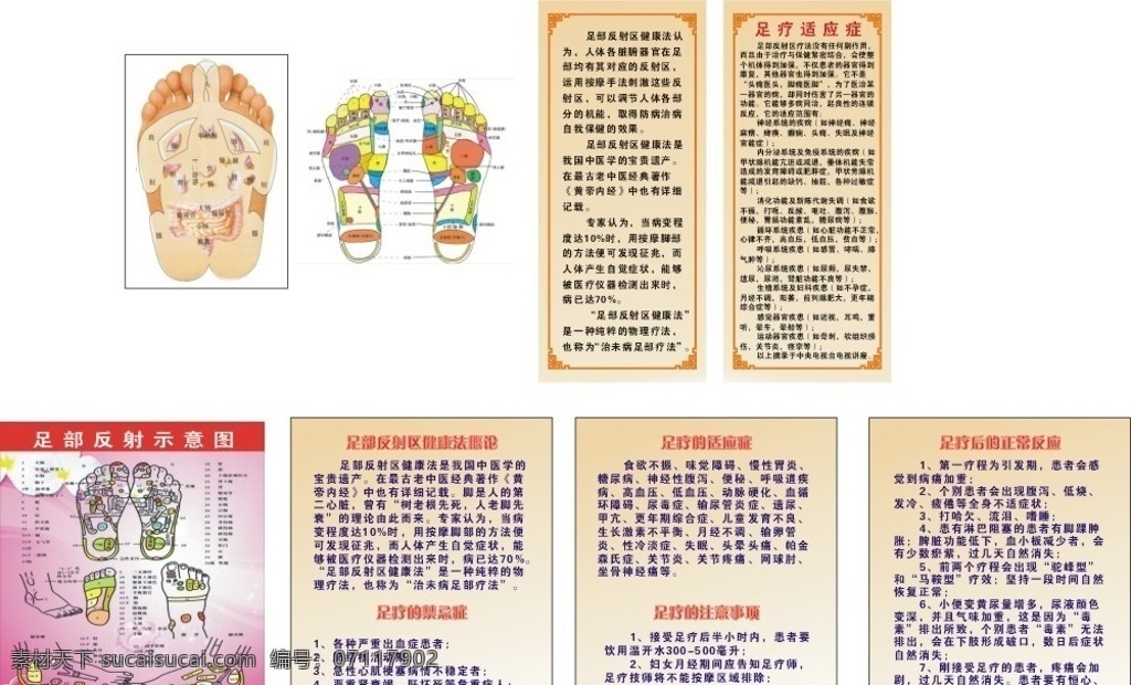 中医足疗 中医 养生 足疗 示意图 医疗保健 生活百科 矢量