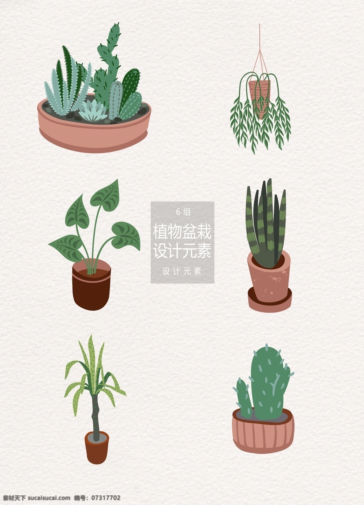 绿植 盆栽 元素 多肉 植物 仙人掌 绿植盆栽 仙人球