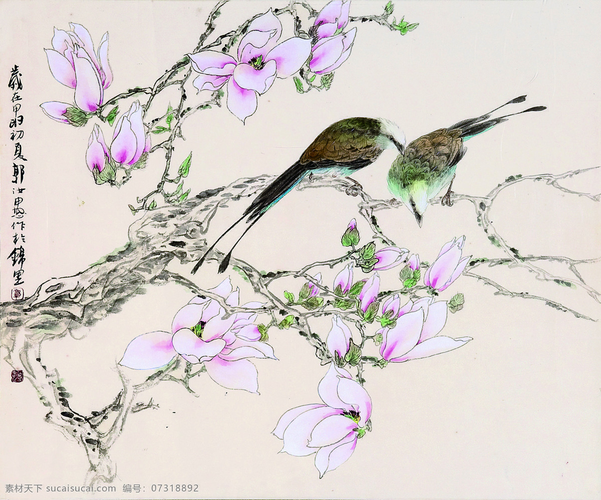玉兰双鸟 中国画 花鸟画 水墨花鸟 玉兰画 白头鸟 国画花鸟 花鸟画专辑一 文化艺术 绘画书法