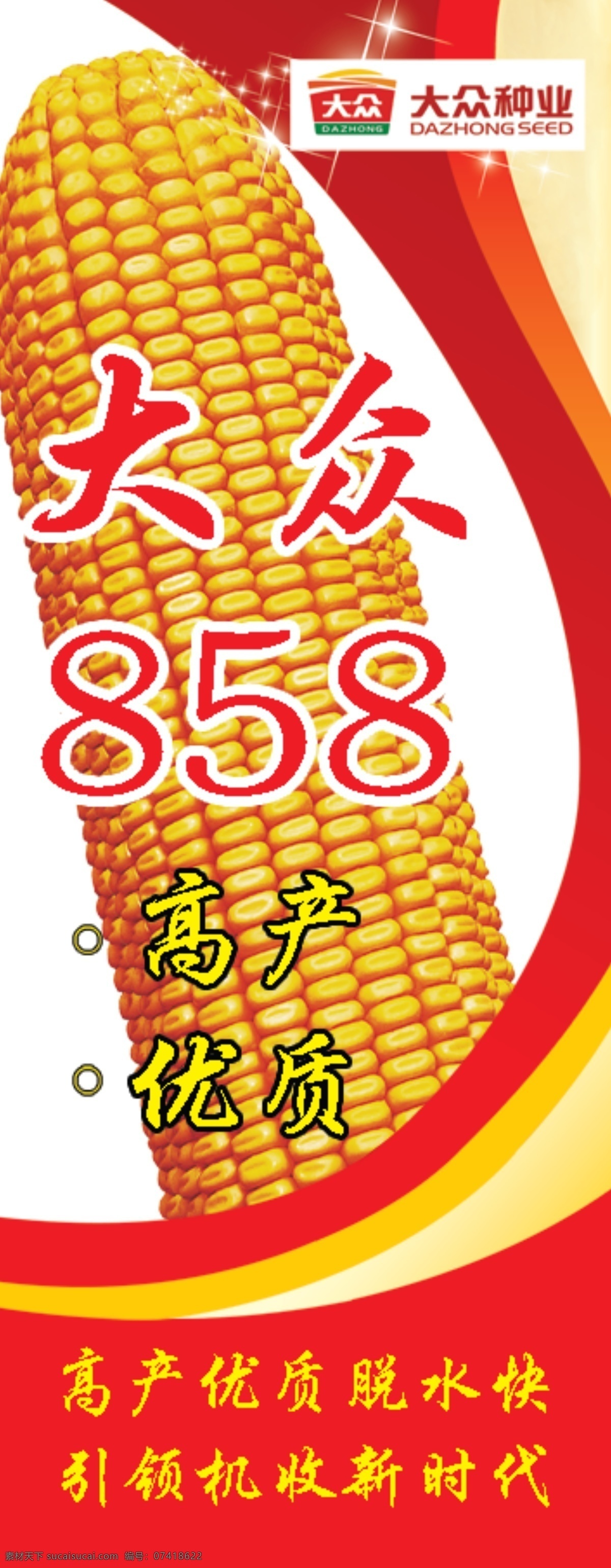 玉米 玉米种子 大众858 高产 稳产