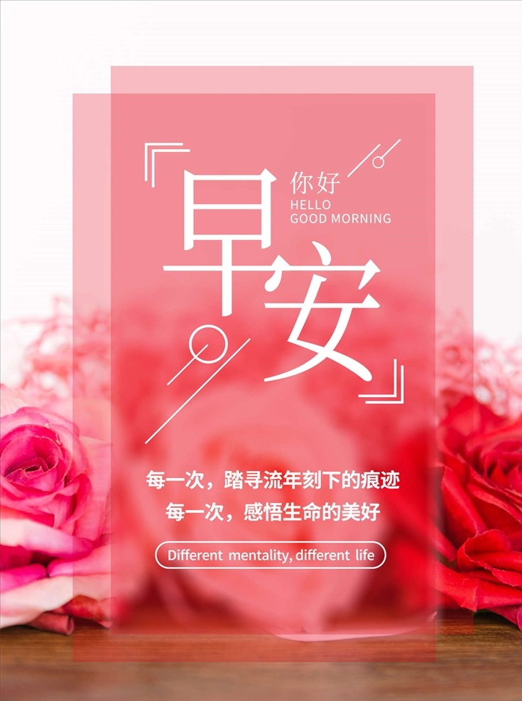 早安秀 早安问候 早安梦想 追梦 创意梦想 创意标语 早安励志 每日签到 日签 晚安 推送 早安图 每日推送 正能量 微信 阳光 自然 唯美 微信稿 朋友圈 微商 人生哲理 每日精选 早安海报 早安物语 早安微信
