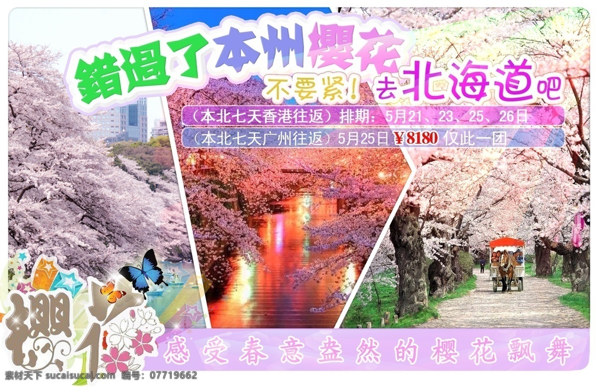 樱花 banner 日本 旅游 宣传 彩图 白色