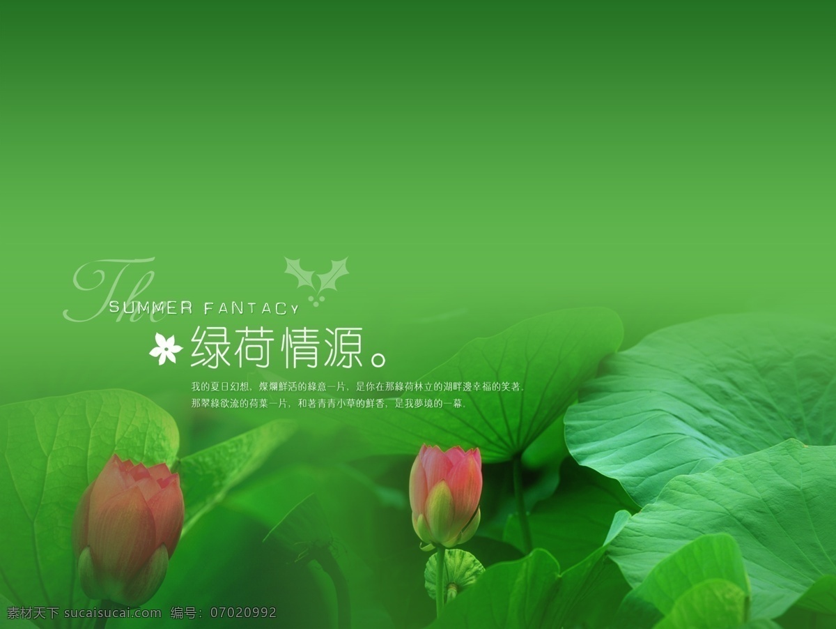 婚纱模板77