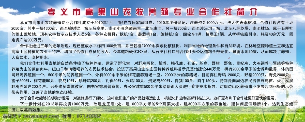 农牧 专业 合作社 简介 蓝天 白云 蒲公英 绿草地 展板模板 广告设计模板 源文件