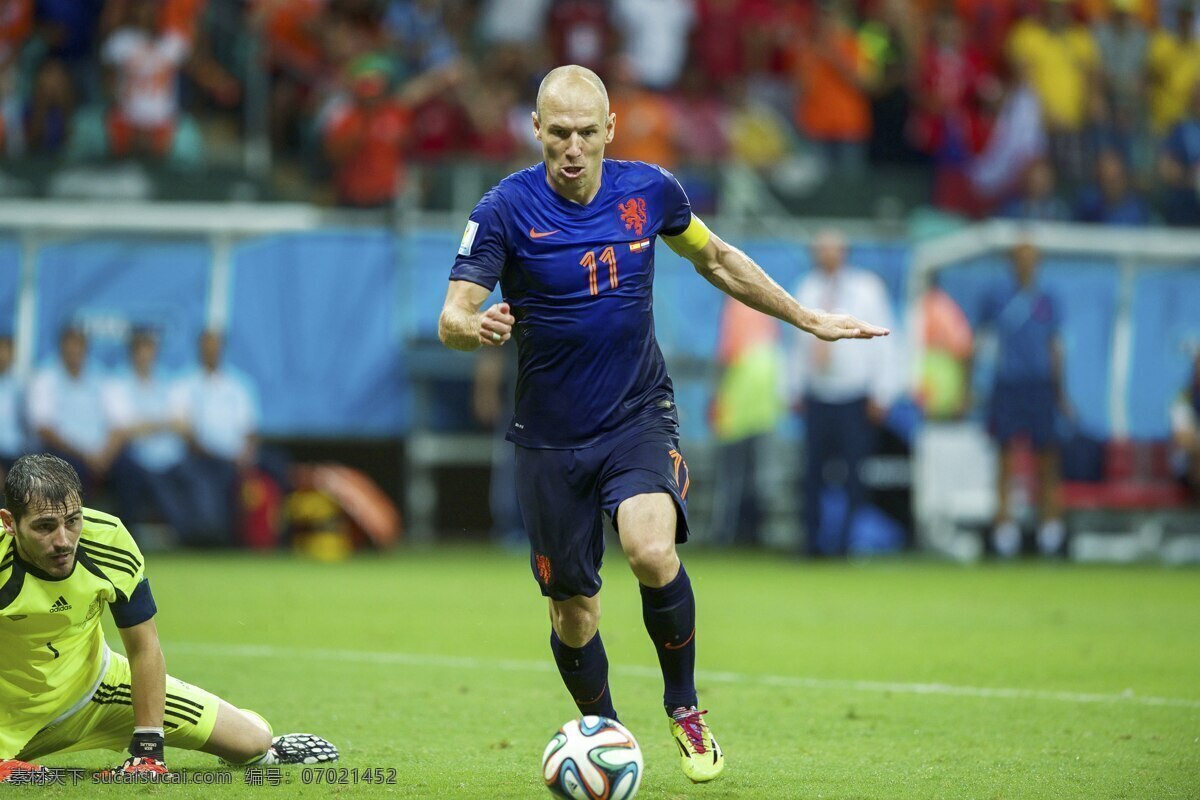 罗本 robben 拜仁 荷兰 巴西世界杯 球星 足球 明星偶像 人物图库