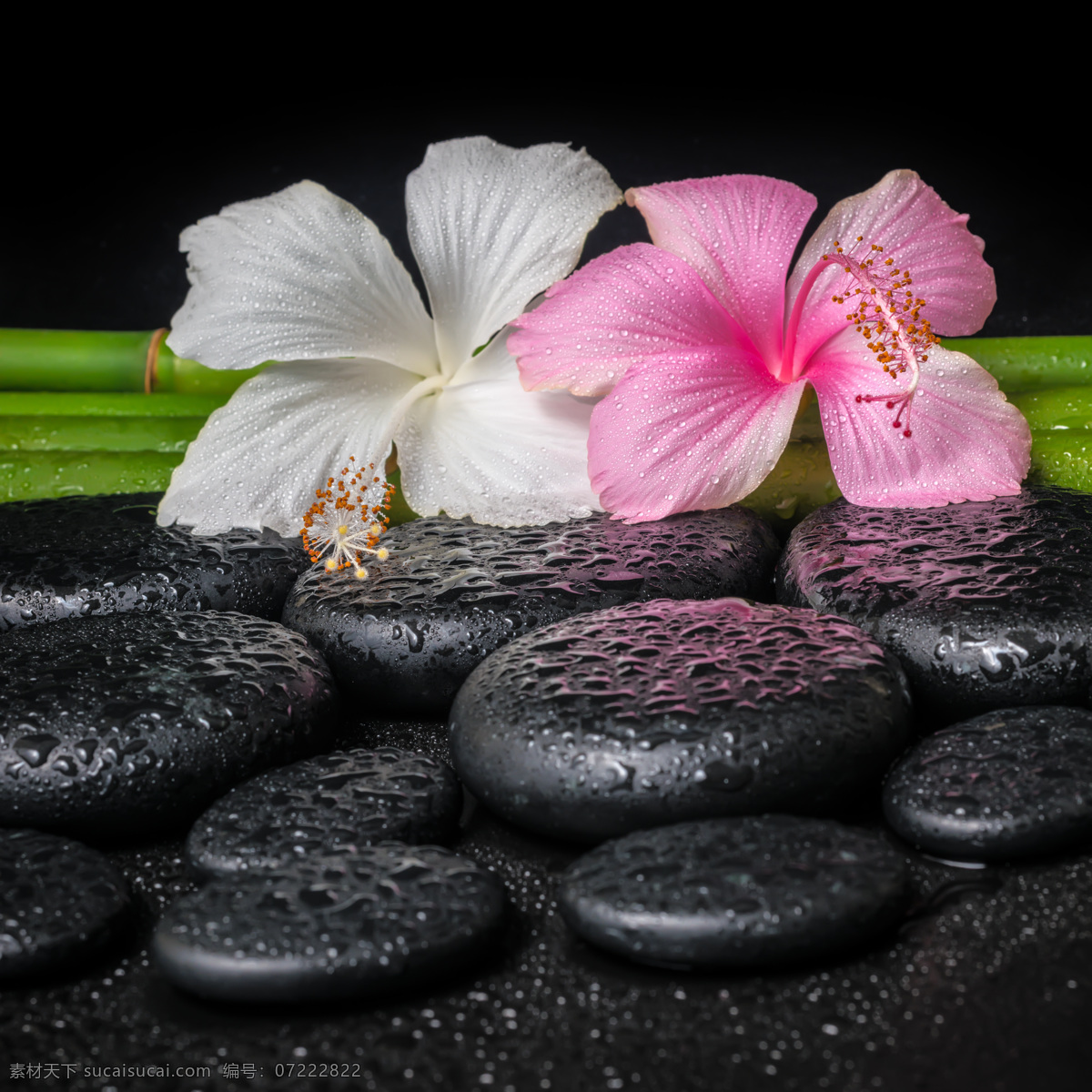 水珠 能量 石 兰花 spa 身体理疗 能量石 鲜花 美容健身 生活百科